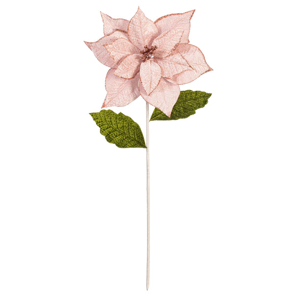 Tige de poinsettia rose 20" fleur 12"