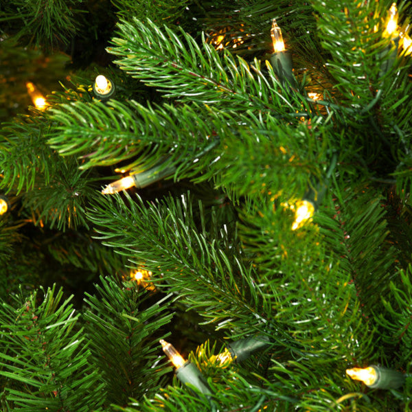 Sapin Mont d’Iberville