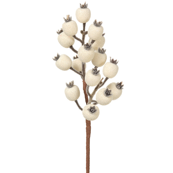 Tige d’églantier blanche givrée 13''