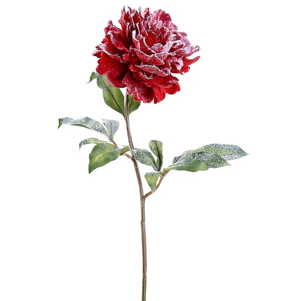Tige de pivoine rouge enneigée 28''