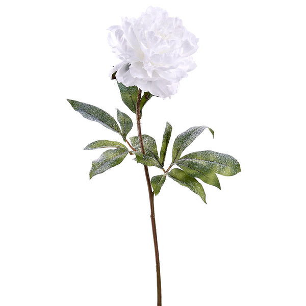 Tige de pivoine blanche enneigée 28''