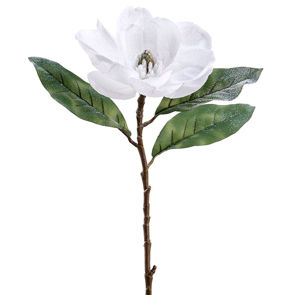 Tige de magnolia enneigée blanche 29''