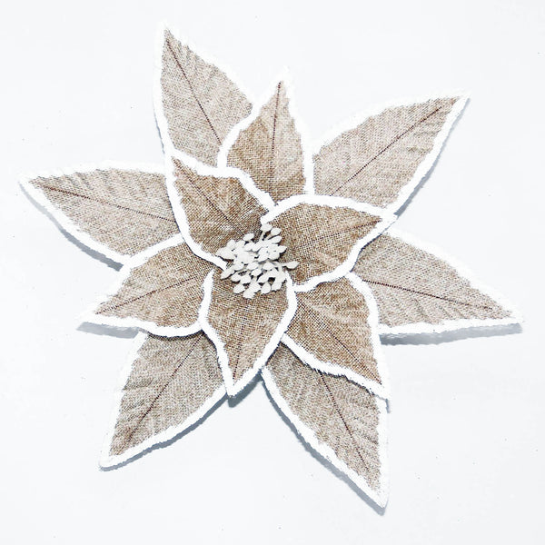 Tige de poinsettia naturel et blanc 11,5''