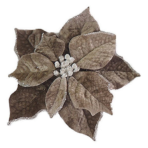 Tige de poinsettia platine et blanc 9''