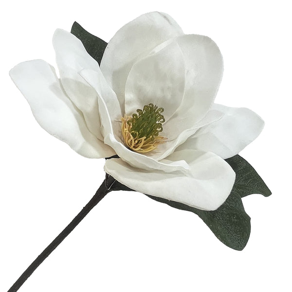 Tige de magnolia 15''