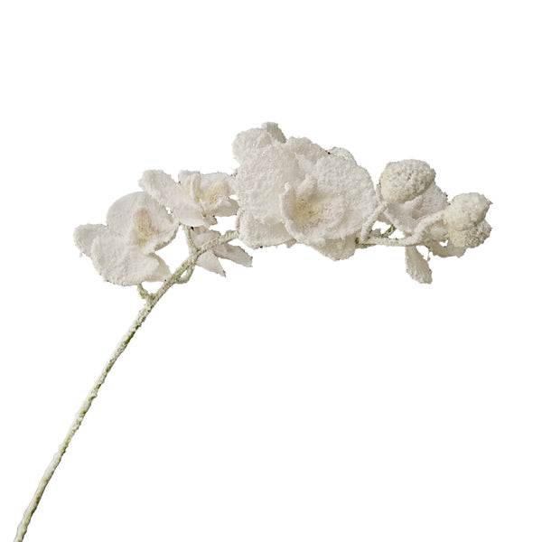 Tige de fleurs orchidée blanches 31''