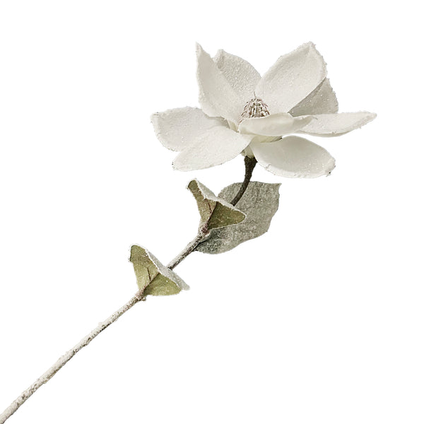 Tige de magnolia blanche 26''
