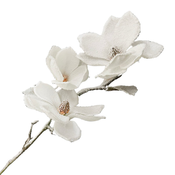 Tige de magnolia blanches 34''