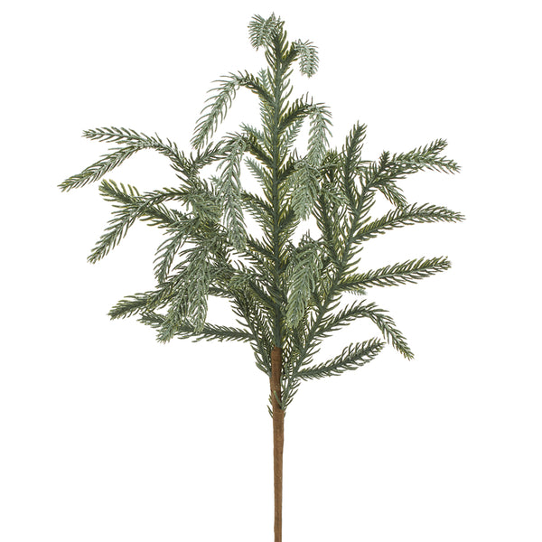 Tige de pin saule givré 20''
