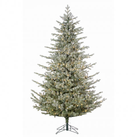Sapin Saint-Sauveur