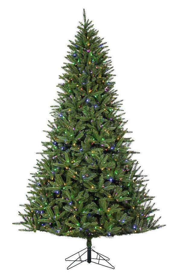 Sapin Tokyo