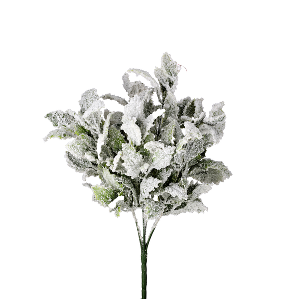 Buisson de houx enneigé givré 19"