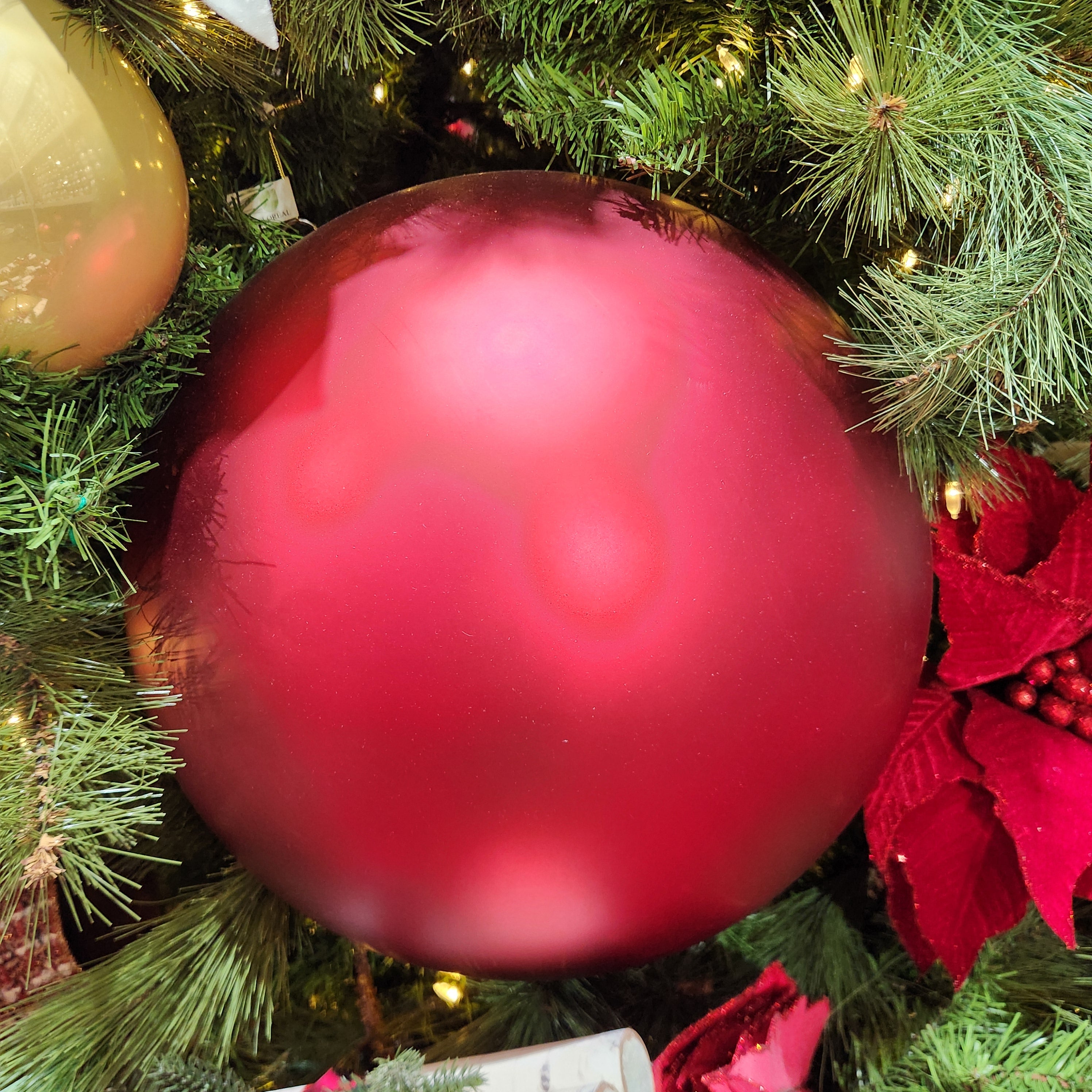 Boule jeu de formes en plastique bleu et rouge Tupperware Toy – Début de Série Boule jeu de formes en plastique bleu et rouge Tupperware Toy – Début de Série