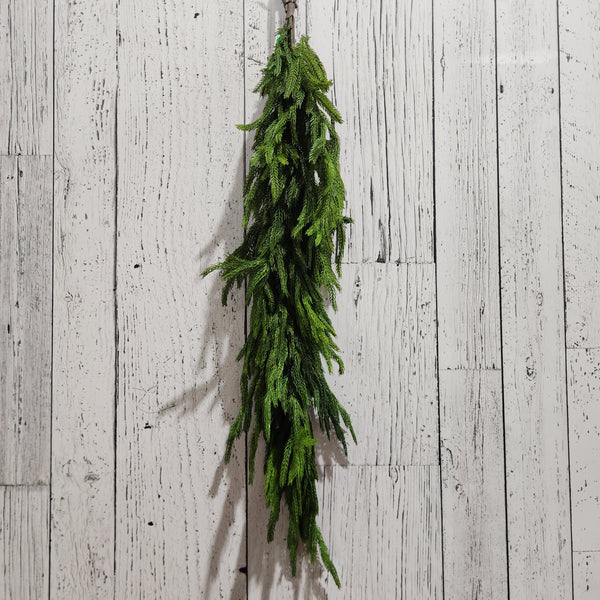 Larme de Pin Norfolk verte 36"