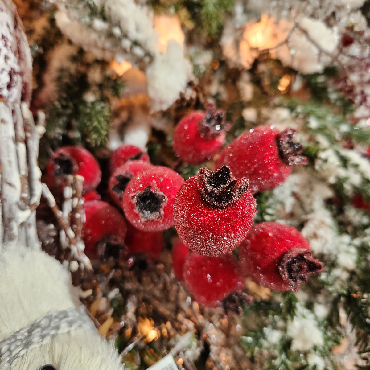 Red Snowberry "Magic Berry" 13" Stem