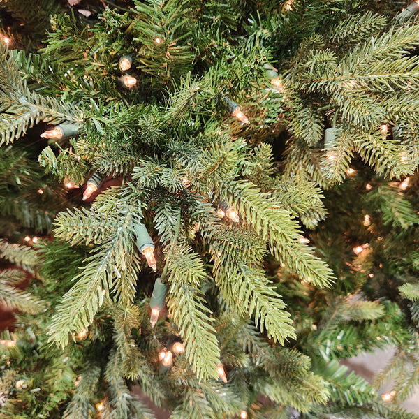 Sapin Manhattan