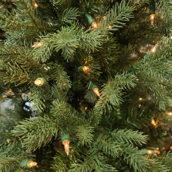 Sapin Montréal