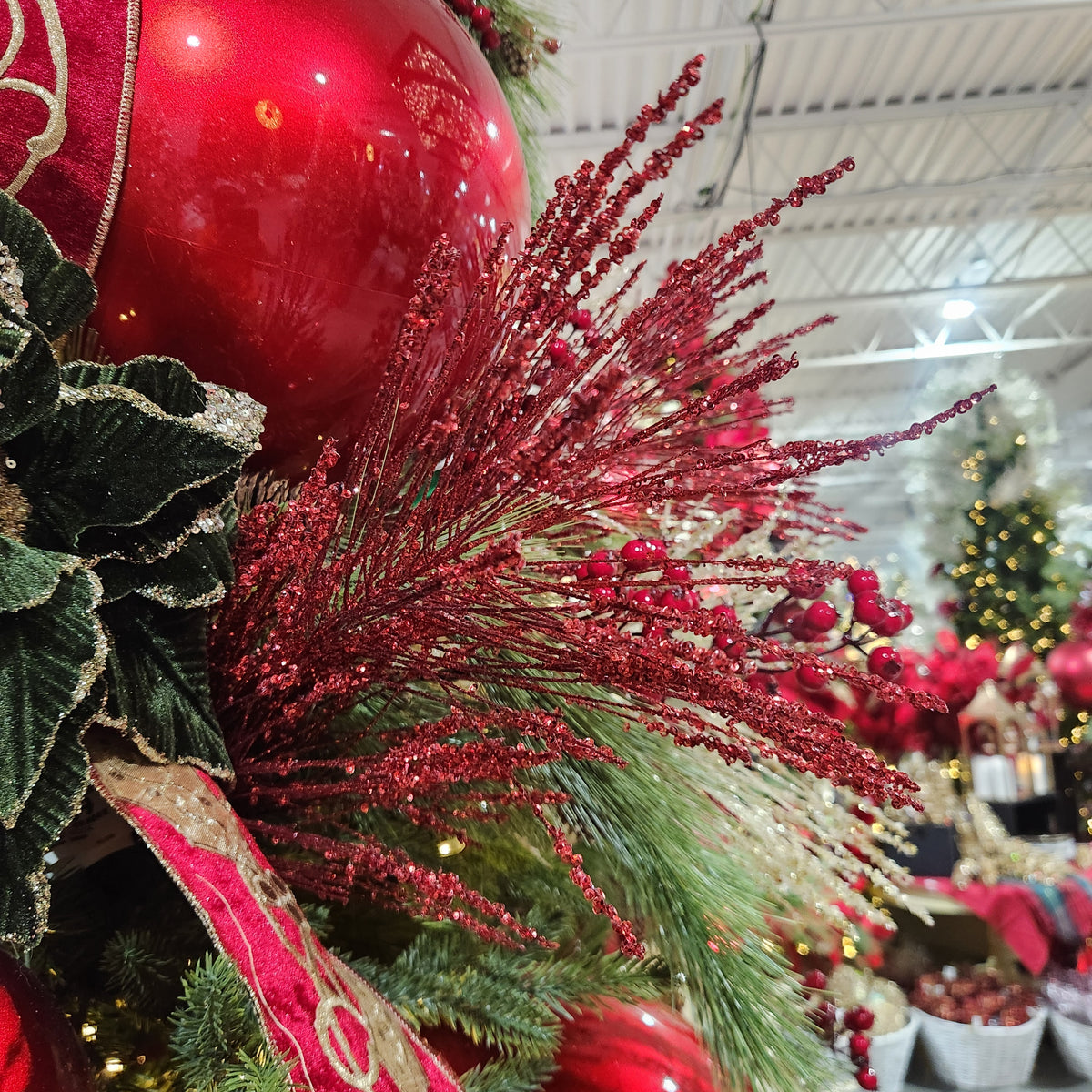 Red Frosted Long Needle Stem 32"