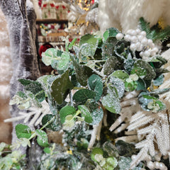 Tige d’eucalyptus brillante