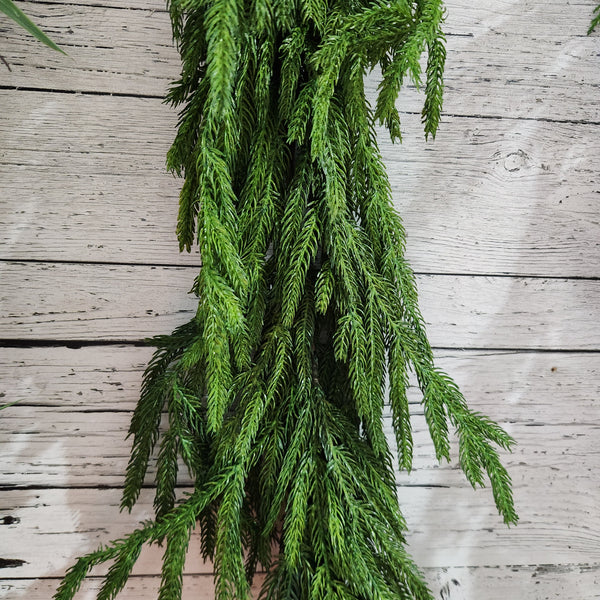 Guirlande de pin Norfolk verte 5'