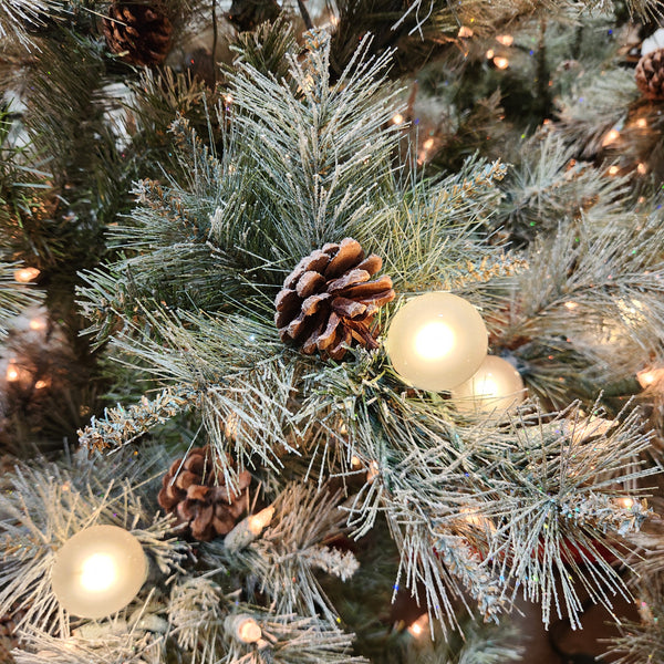 Sapin Las Vegas