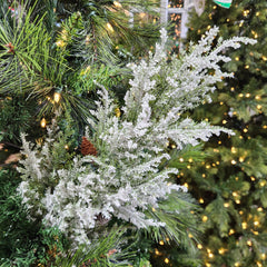 White and Green Snow Juniper Stem 28"