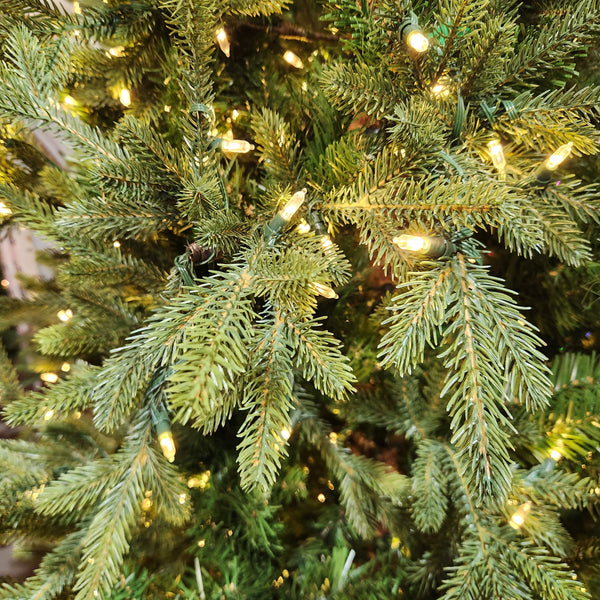Sapin Madrid