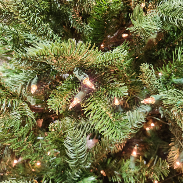 Sapin Athens