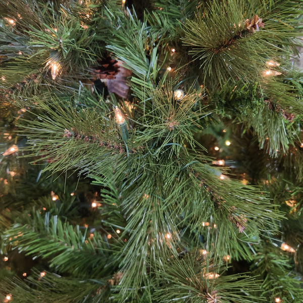 Sapin Barcelona