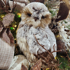 Polystyrene Owl and Feather Brown Mix 11.4" x 19.7"